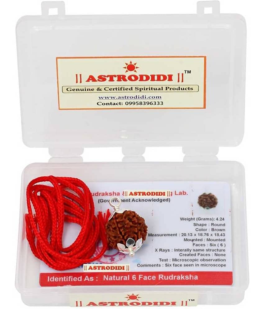 Astrodidi 6 Mukhi Rudraksha With Silver Cap Pendant With Lab Certificate view 2